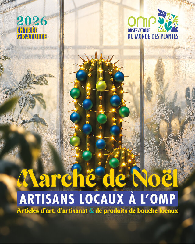 Marchés de Noël Marché Noël d Artisans l Observatoire Monde Plantes