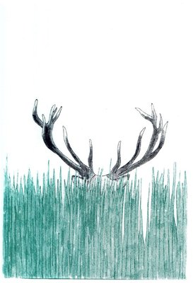 Stages,cours Cours bande dessinée - illustration Bruxelles