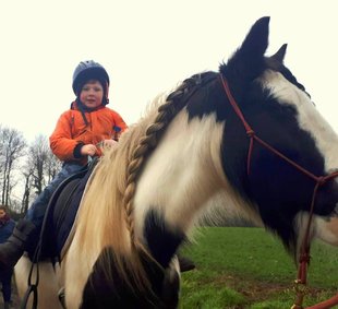 Loisirs Balade poneys