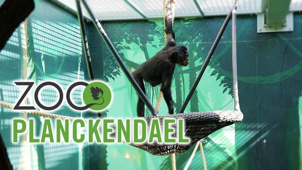 Loisirs Zoo Planckendael