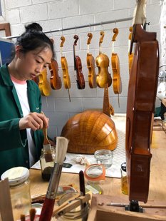 Expositions Exposition l art luthier